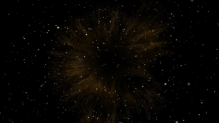 Firework, Explosive, Star, Night, Stars, Light