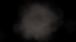 Baby, Fetus, Vertebrate, Smoke, Cloud, Chordate