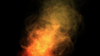 Smoke, Baby, Fetus, Cloud, Vertebrate, Light