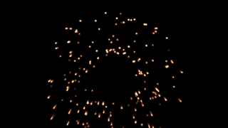 Firework, Sea Urchin, Fireworks, Echinoderm, Night, Festival