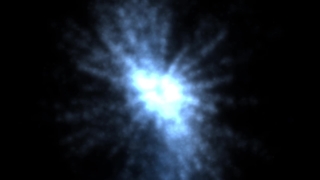 Light, Black, Nematode, Dark, Space, Design