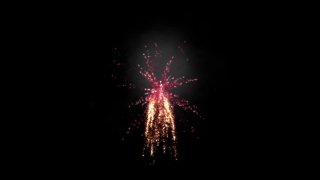 Firework, Star, Night, Explosive, Fireworks, Celebration