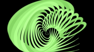 Coil, Structure, Chambered Nautilus, Backdrop, Fractal, Motion