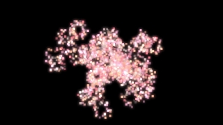 Lilac, Spirea, Vascular Plant, Shrub, Black, Herb