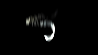 Black, Light, Bird, Body, Dark, White