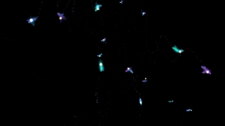 Star, Celestial Body, Space, Stars, Night, Galaxy