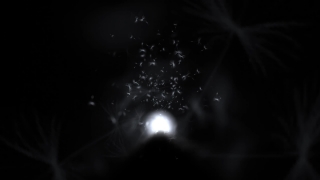 Star, Space, Light, Galaxy, Nebula, Astronomy