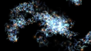 Black, Light, Invertebrate, Smoke, Night, Flame