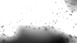 Confetti, Frame, Paper, Freeze, Design, Liquid