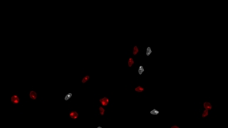 Confetti, Light-emitting Diode, Pattern, Design, Paper, Light
