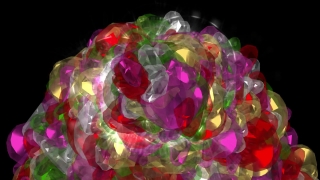 Bouquet, Flower Arrangement, Arrangement, Decoration, Flowers, Flower