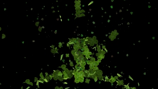 Clover, Plant, Leaf, Leaves, Herb, Spring