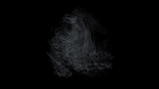 Baby, Black, Fetus, Vertebrate, Dark, Night