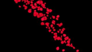 Art, Wallpaper, Design, Decoration, Light, Black