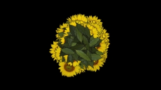 Plant, Herb, Floral, Dandelion, Yellow, Flower
