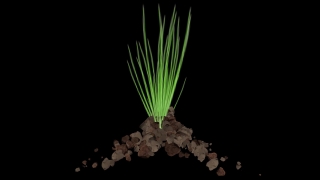 Plant, Flower, Herb, Leaf, Fir, Art