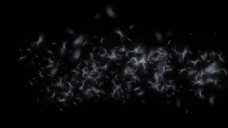 Black, Light, Design, Wallpaper, Pattern, Shape