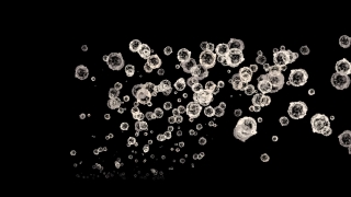 Gem, Floral, Graphic, Art, Pattern, Design