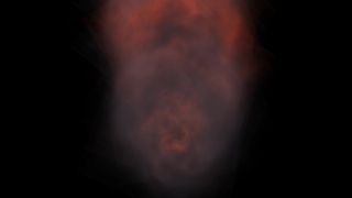 Baby, Fetus, Vertebrate, Heat, Moon, Black