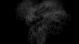 Baby, Fetus, Vertebrate, Chordate, Black, Smoke