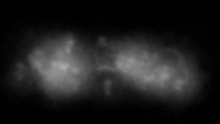 Nematode, Smoke, Worm, Moon, Invertebrate, Cloud