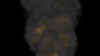 Baby, Fetus, Smoke, Vertebrate, Sky, Cloud