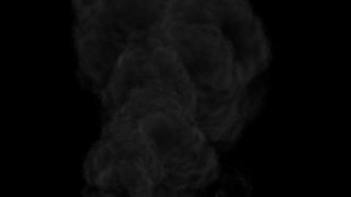 Baby, Fetus, Vertebrate, Chordate, Organism, Black