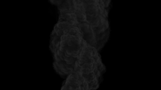 Baby, Fetus, Vertebrate, Chordate, Black, Organism
