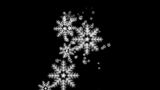 Fir, Snow, Winter, Ice, Snowflake, Holiday