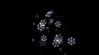 Gem, Design, Graphic, Decoration, Pattern, Floral