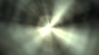 Vascular Plant, Star, Light, Herb, Space, Sun