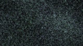 Texture, Pattern, Material, Surface, Backdrop, Rough