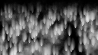 Swab, Brush, Hairbrush, Heat, Light, Black