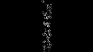 Design, Decoration, Art, Floral, Frame, Graphic