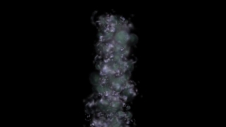 Invertebrate, Black, Moon, Animal, Arthropod, Night