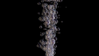 Black, Pollen, Design, Close, Decoration, Lilac