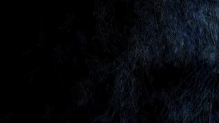 Texture, Pattern, Black, Hide, Moon, Design