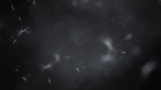 Light, Smoke, Sky, Space, Cloudiness, Cloud