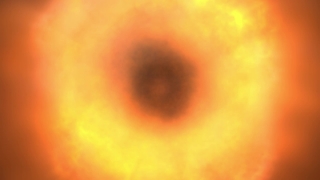 Sun, Star, Celestial Body, Heat, Light, Space