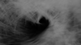 Dog, Eye, Black, Terrier, Hunting Dog, Space