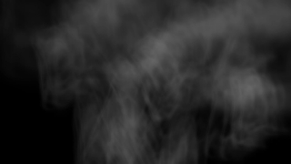 Black, Dog, Baby, Light, Terrier, Hunting Dog